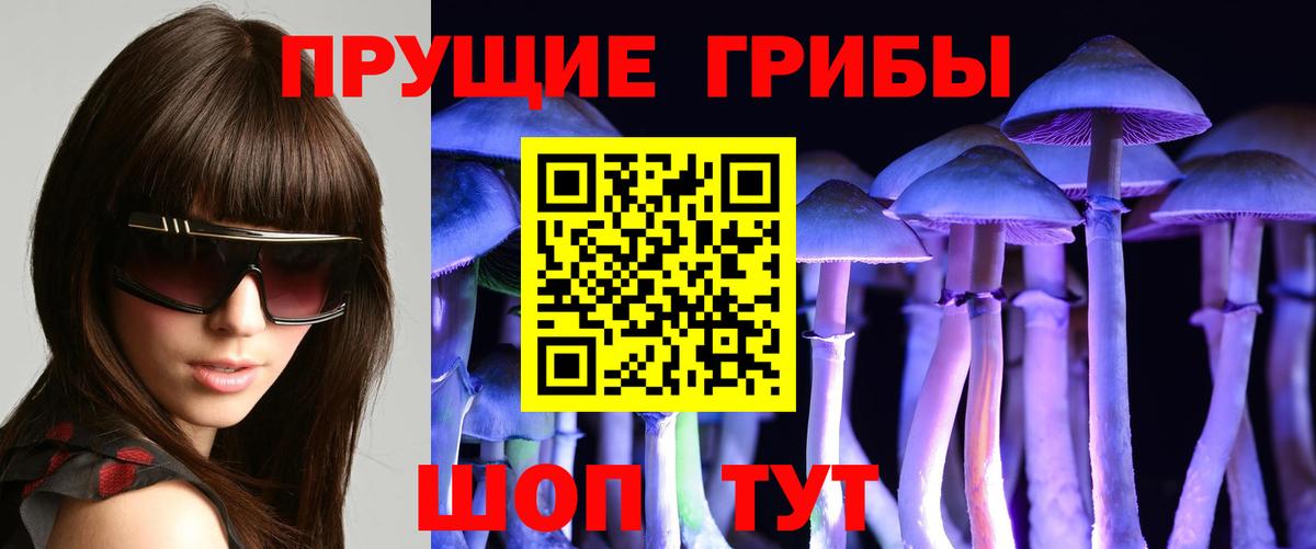 Галлюциногенные грибы MAGIC MUSHROOMS Большой Камень