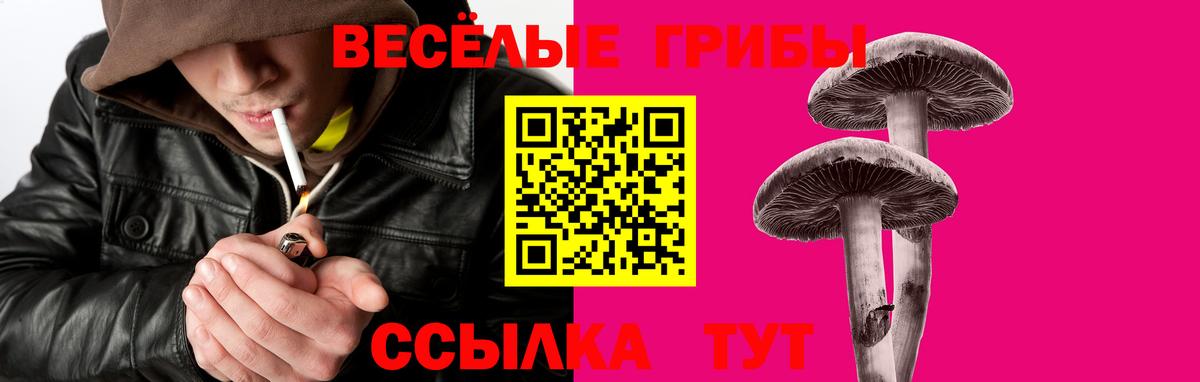 где найти наркотики  Вход с VPN  Большой Камень  Галлюциногенные грибы мицелий 